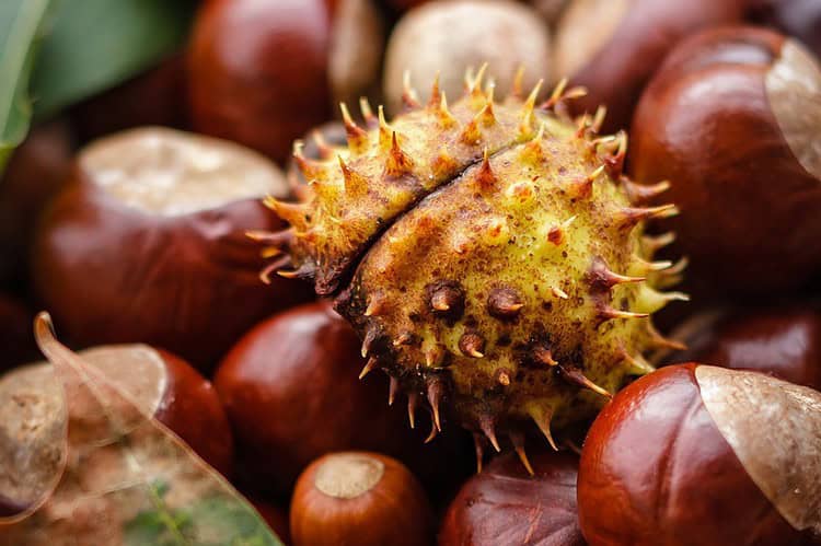 Jesienne porządki – czas na świeży start!