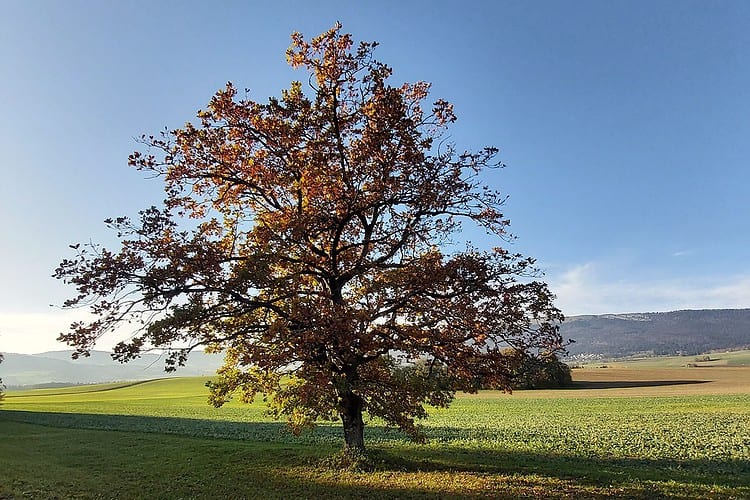 Życie offline – dlaczego warto raz na jakiś czas się odłączyć